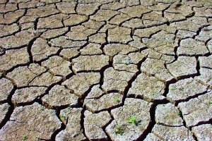 Le réchauffement climatique et les phénomènes météorologiques extrêmes